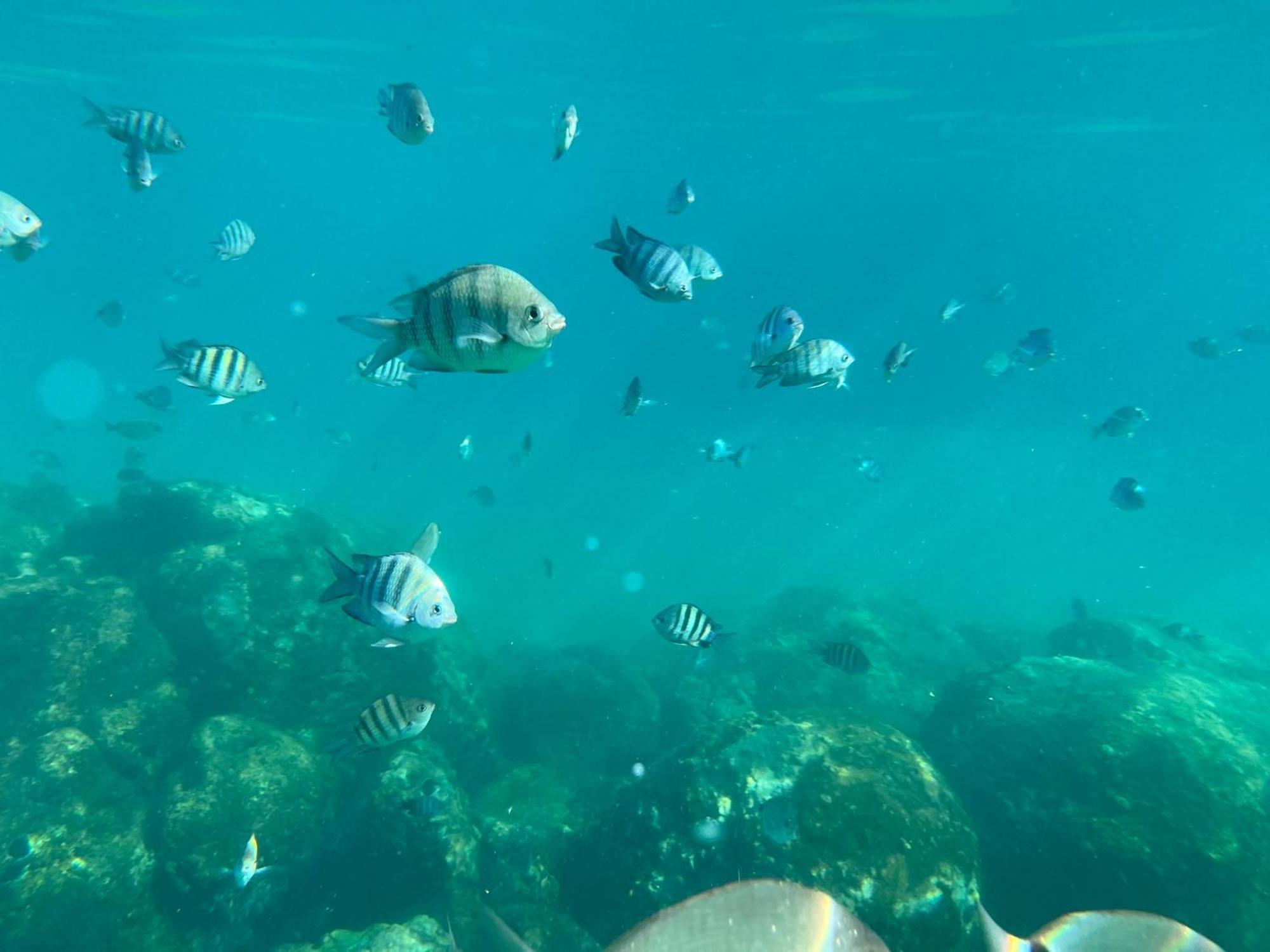 Cabana Do Mar أنجرا دوس ريس المظهر الخارجي الصورة